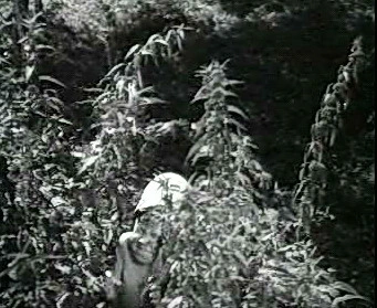 Добро пожаловать или Посторонним вход воспрещён (1964)