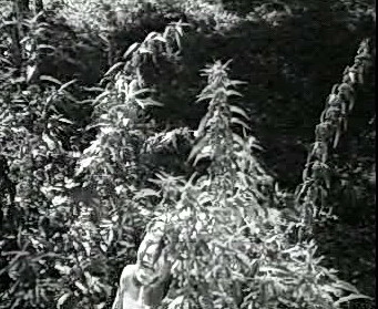 Добро пожаловать или Посторонним вход воспрещён (1964)