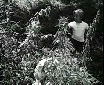 Добро пожаловать или Посторонним вход воспрещён (1964)