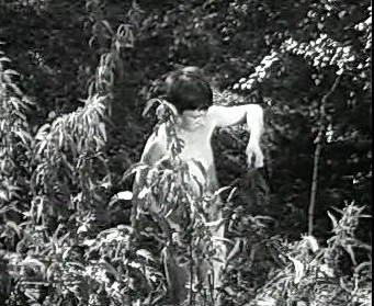 Добро пожаловать или Посторонним вход воспрещён (1964)