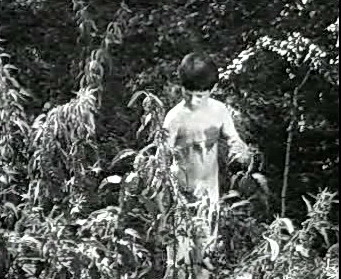Добро пожаловать или Посторонним вход воспрещён (1964)