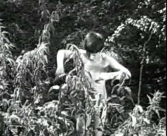 Добро пожаловать или Посторонним вход воспрещён (1964)