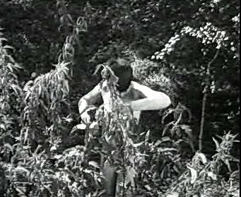 Добро пожаловать или Посторонним вход воспрещён (1964)