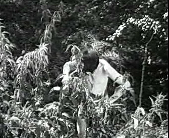 Добро пожаловать или Посторонним вход воспрещён (1964)