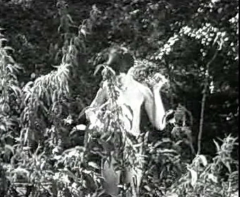 Добро пожаловать или Посторонним вход воспрещён (1964)