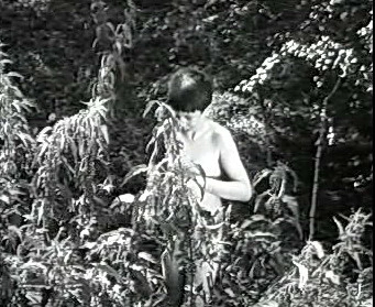 Добро пожаловать или Посторонним вход воспрещён (1964)