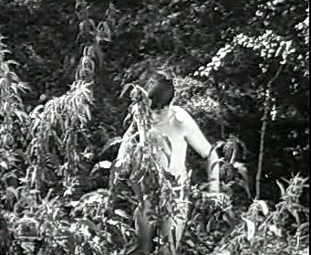 Добро пожаловать или Посторонним вход воспрещён (1964)