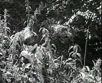 Добро пожаловать или Посторонним вход воспрещён (1964)