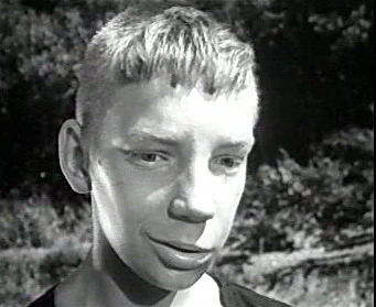 Добро пожаловать или Посторонним вход воспрещён (1964)