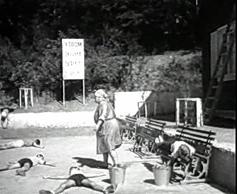Добро пожаловать или Посторонним вход воспрещён (1964)