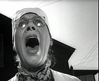 Добро пожаловать или Посторонним вход воспрещён (1964)