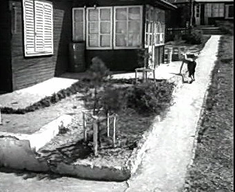 Добро пожаловать или Посторонним вход воспрещён (1964)