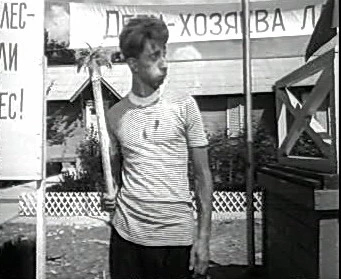 Добро пожаловать или Посторонним вход воспрещён (1964)