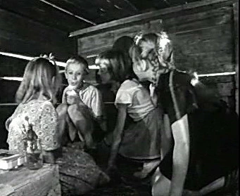 Добро пожаловать или Посторонним вход воспрещён (1964)