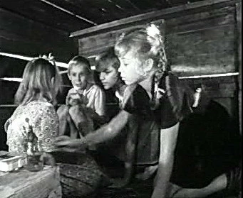Добро пожаловать или Посторонним вход воспрещён (1964)