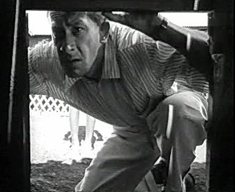 Добро пожаловать или Посторонним вход воспрещён (1964)