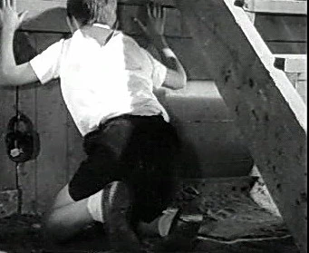 Добро пожаловать или Посторонним вход воспрещён (1964)