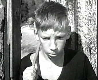 Добро пожаловать или Посторонним вход воспрещён (1964)