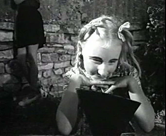 Добро пожаловать или Посторонним вход воспрещён (1964)