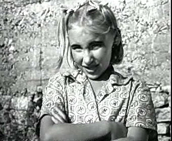 Добро пожаловать или Посторонним вход воспрещён (1964)