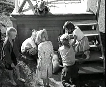 Добро пожаловать или Посторонним вход воспрещён (1964)