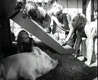 Добро пожаловать или Посторонним вход воспрещён (1964)