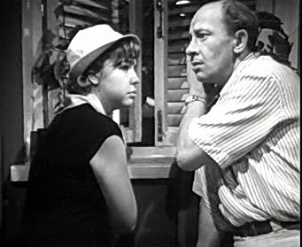 Добро пожаловать или Посторонним вход воспрещён (1964)