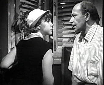 Добро пожаловать или Посторонним вход воспрещён (1964)