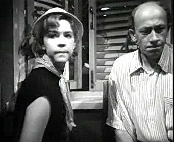 Добро пожаловать или Посторонним вход воспрещён (1964)