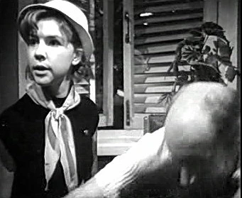 Добро пожаловать или Посторонним вход воспрещён (1964)
