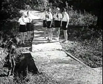 Добро пожаловать или Посторонним вход воспрещён (1964)