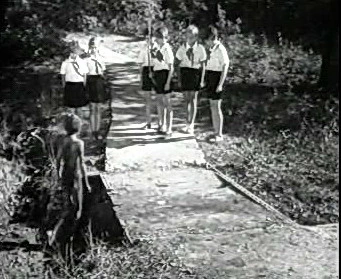 Добро пожаловать или Посторонним вход воспрещён (1964)