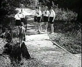 Добро пожаловать или Посторонним вход воспрещён (1964)