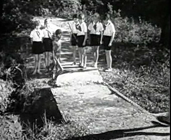 Добро пожаловать или Посторонним вход воспрещён (1964)
