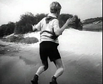 Добро пожаловать или Посторонним вход воспрещён (1964)