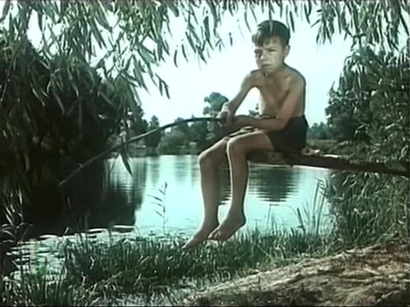 Толя Птичкин