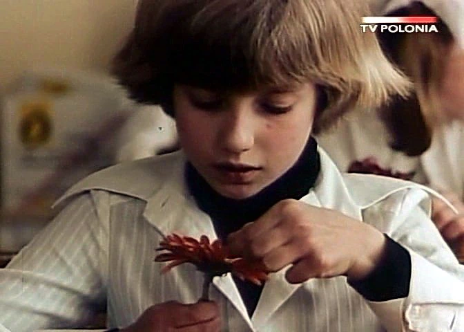 Dziewczyna i chłopak (1980)