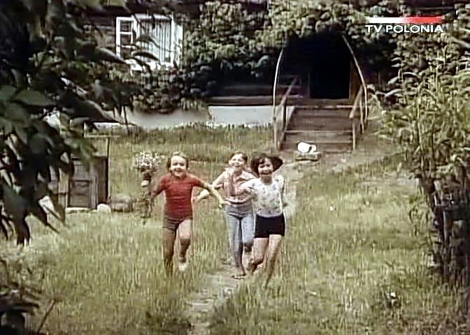 Dziewczyna i chłopak (1980)