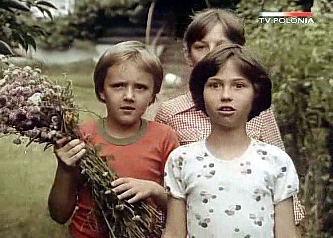 Dziewczyna i chłopak (1980)