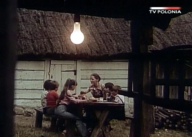 Dziewczyna i chłopak (1980)