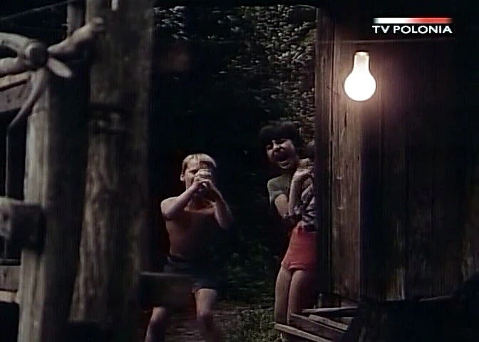 Dziewczyna i chłopak (1980)