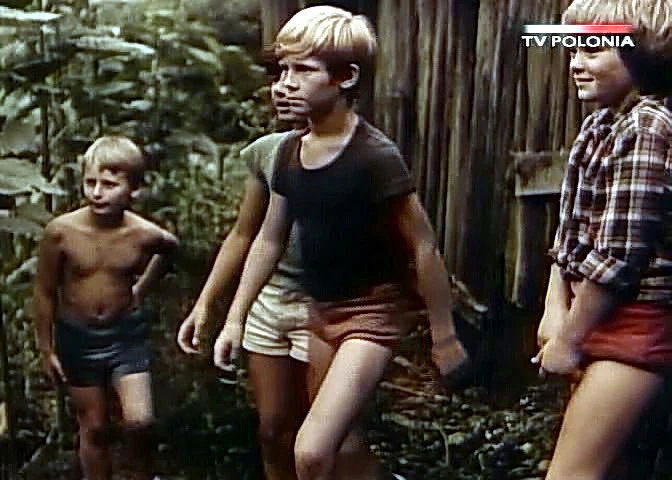 Dziewczyna i chłopak (1980)