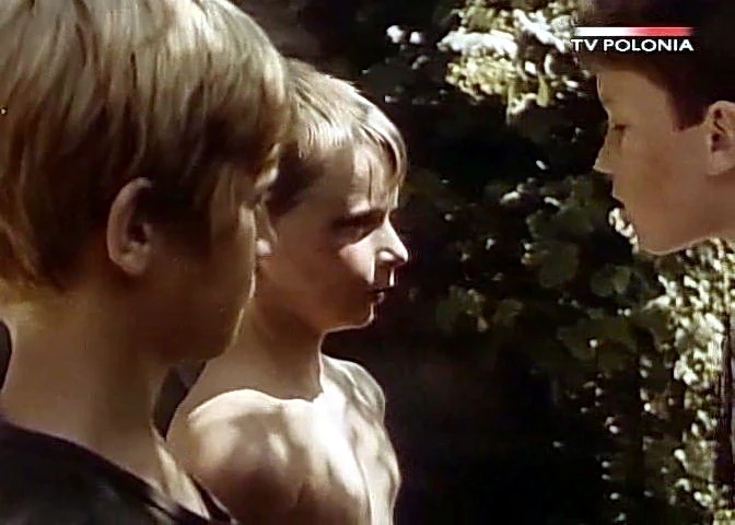 Dziewczyna i chłopak (1980)