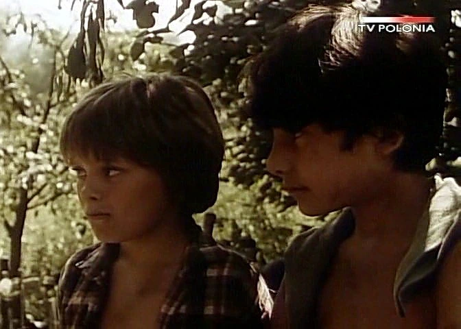 Dziewczyna i chłopak (1980)