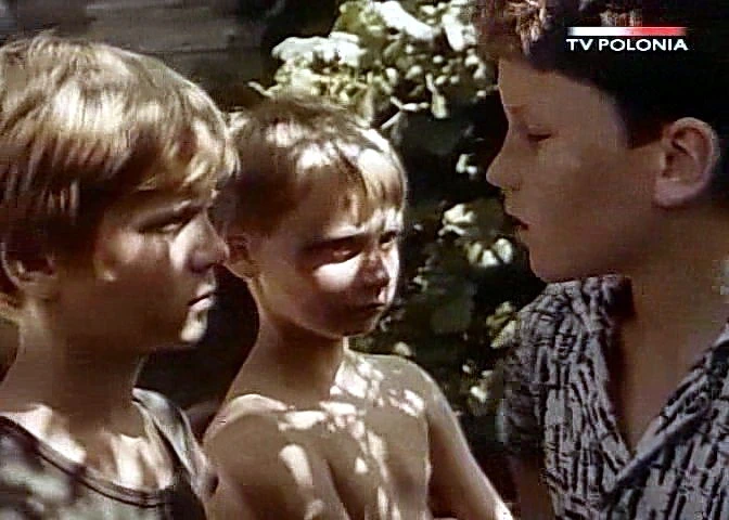 Dziewczyna i chłopak (1980)