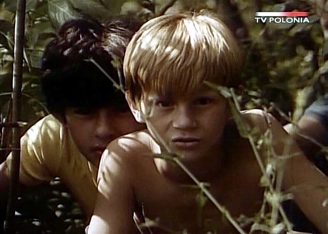 Dziewczyna i chłopak (1980)