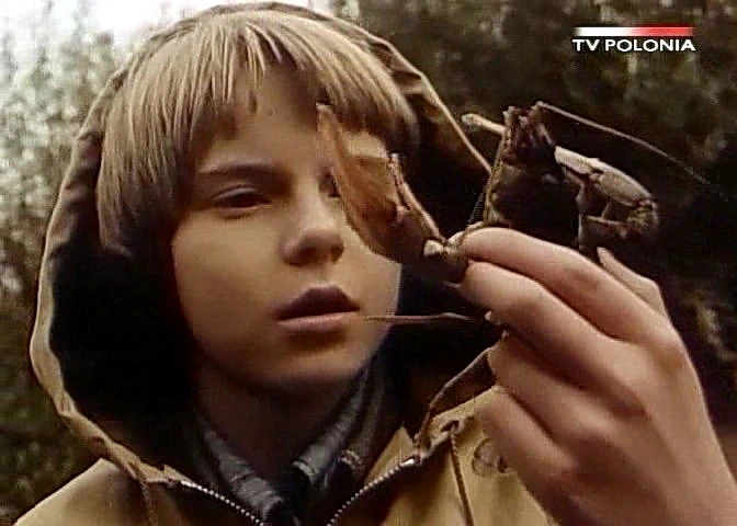 Dziewczyna i chłopak (1980)
