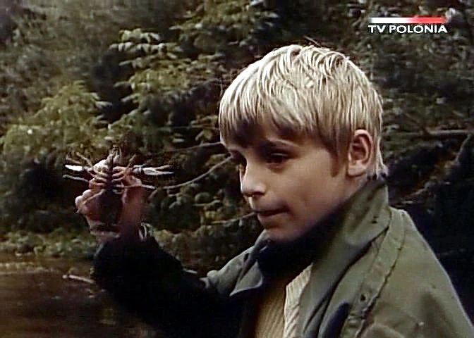 Dziewczyna i chłopak (1980)