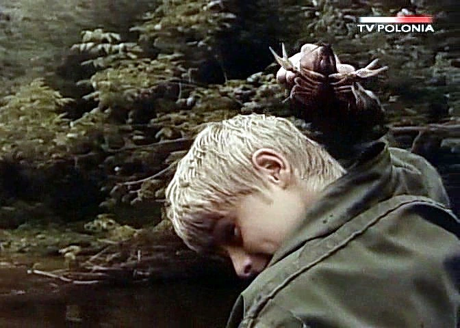 Dziewczyna i chłopak (1980)