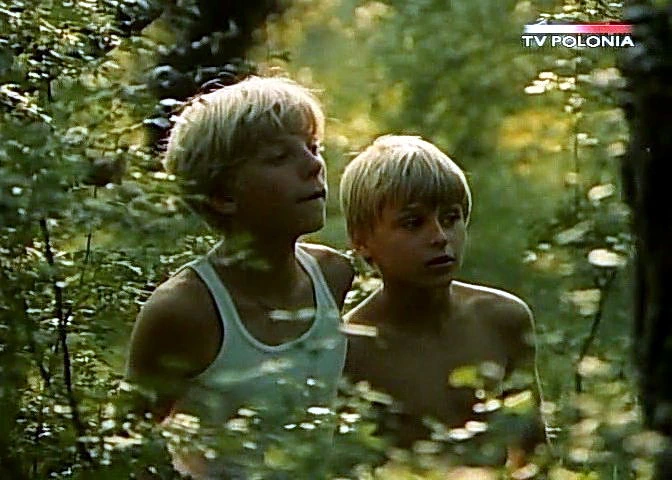Dziewczyna i chłopak (1980)